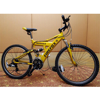 Firefox eyes semi-urban market for leisure bikes